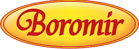 boromir-logo-3